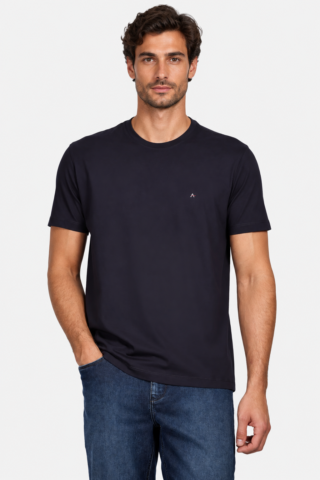 Camiseta Aramis Basica Regular