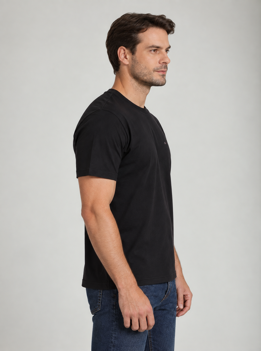 Camiseta Aramis Essencial Básica pa Regular